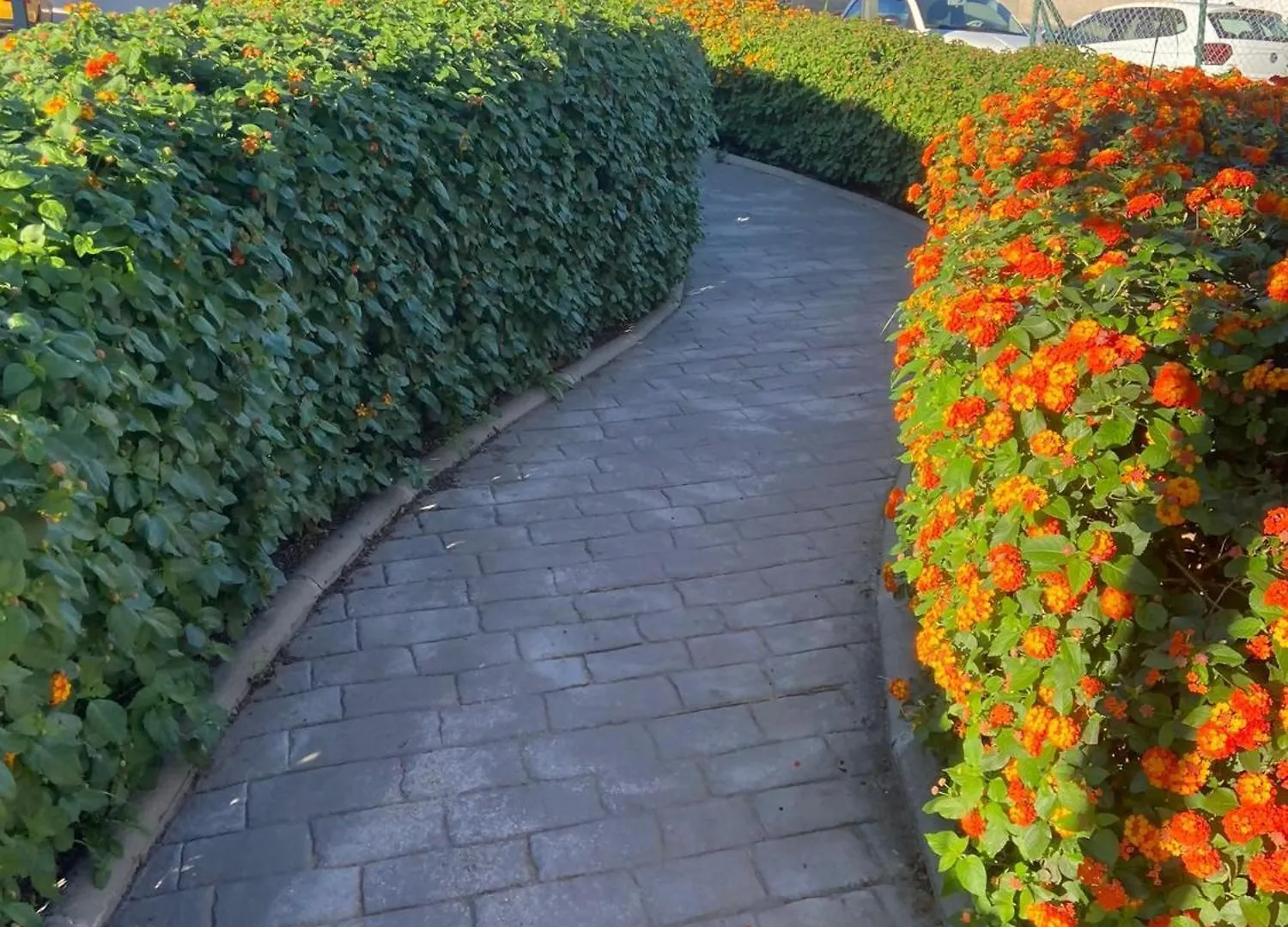 Golf & Relax Benalmadena Apartment Spain